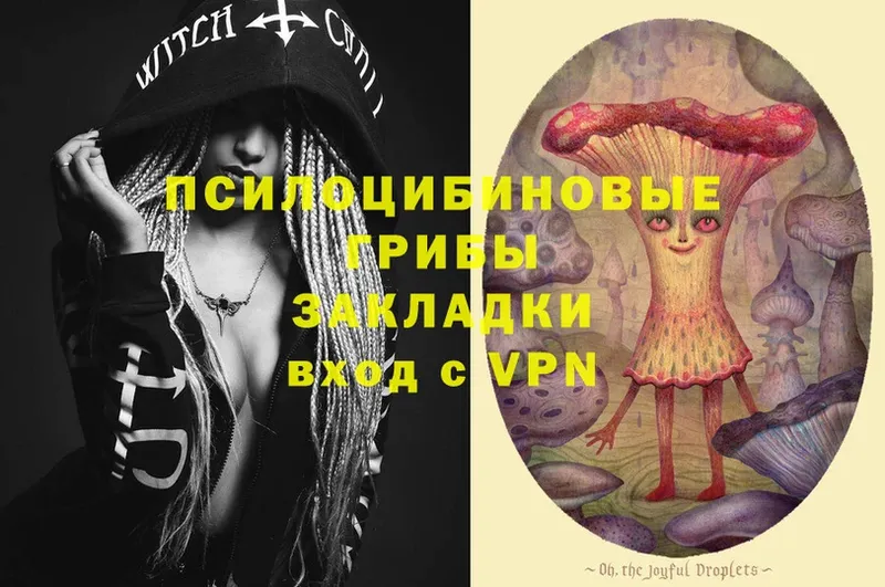 Псилоцибиновые грибы Psilocybe  blacksprut как войти  Муром  darknet формула  закладки 